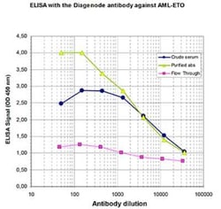 RUNX1T1/ETO Rabbit anti-Human, Polyclonal, Novus Biologicals:Antibodies:Primary